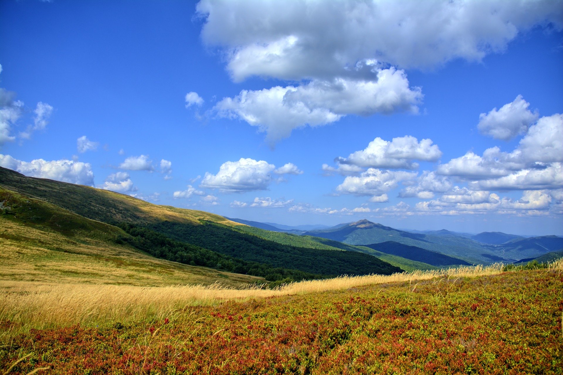 Mini seria – Wokół Natury – Bieszczady