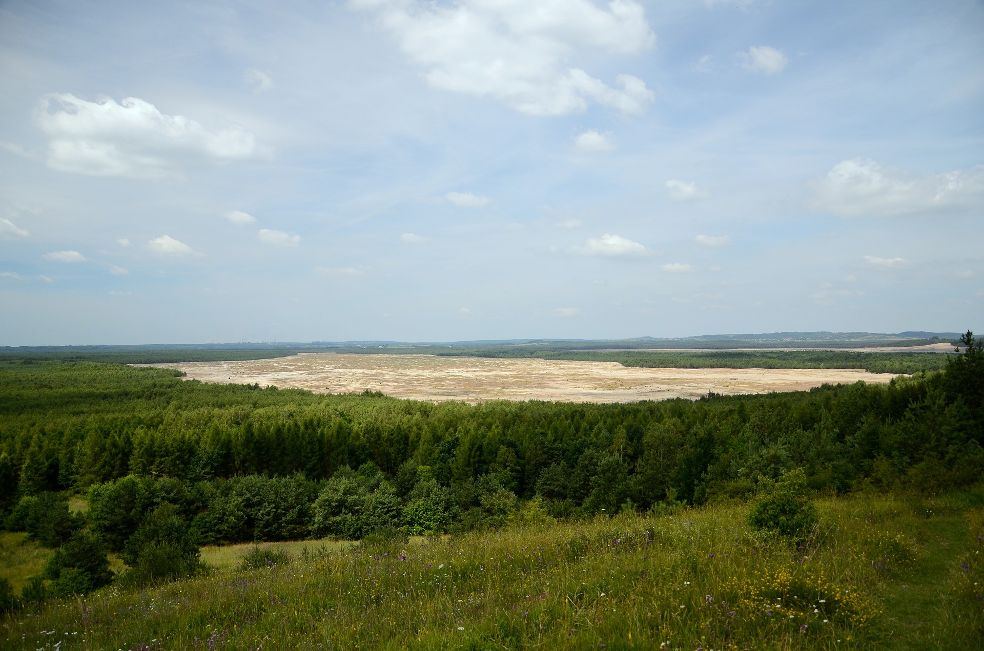 Mini seria – Wokół Natury – Pustynia Błędowska