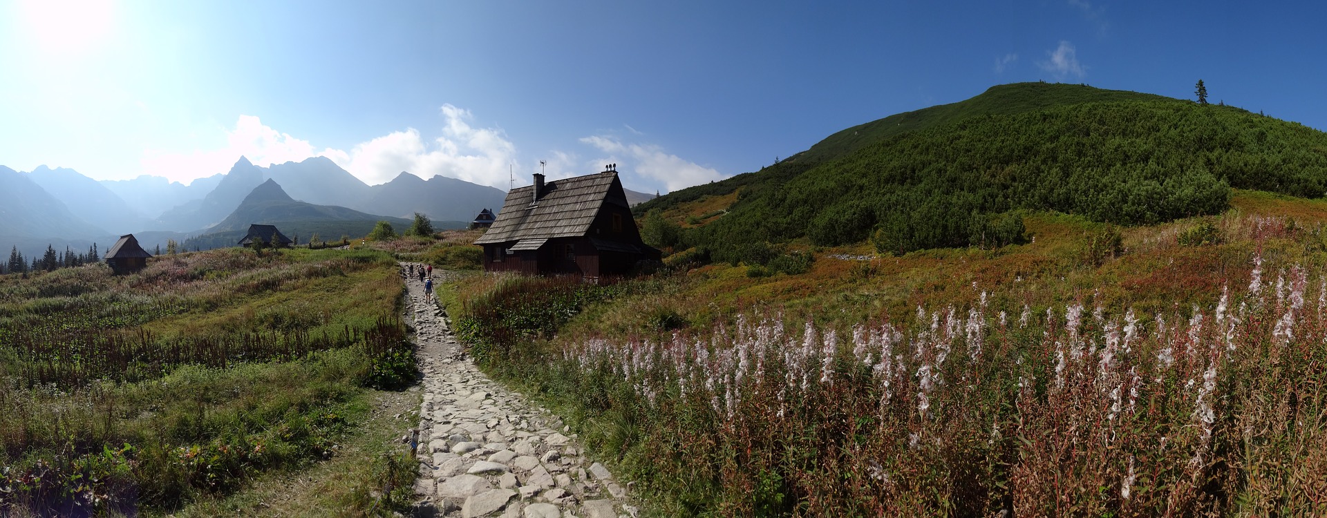 Mini seria – Wokół Natury – Tatry