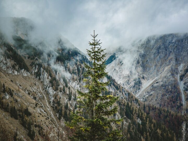 Góry Stołowe – nahjciekawsze pasmo górskie naszego kraju.