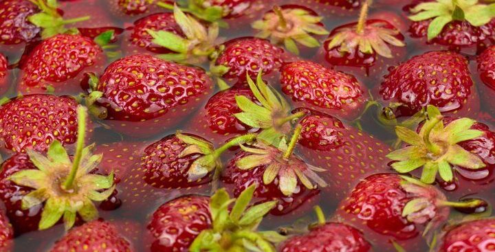 Najlepsze polskie odmiany truskawek: słodkie i aromatyczne propozycje dla każdego ogrodnika