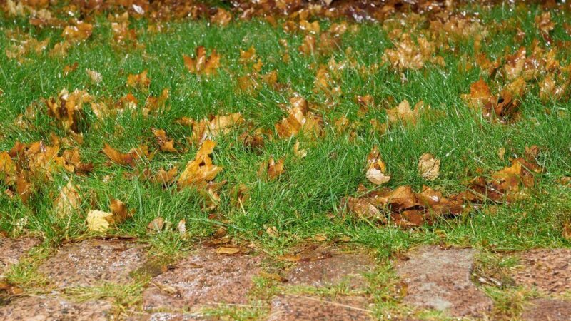 Nowoczesna skarpa w ogrodzie – inspiracje na aranżację
