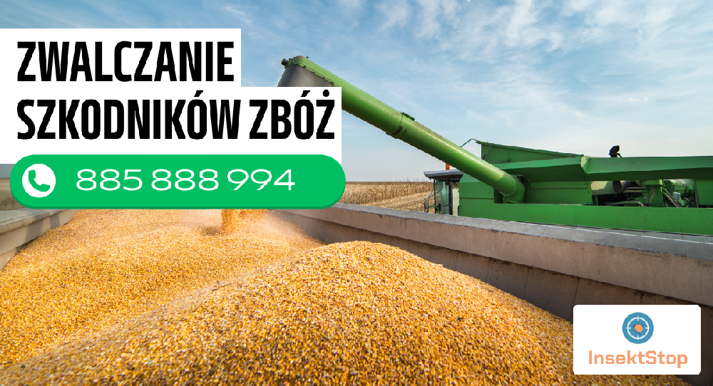 zwalczanie szkodników zbóż insektstop