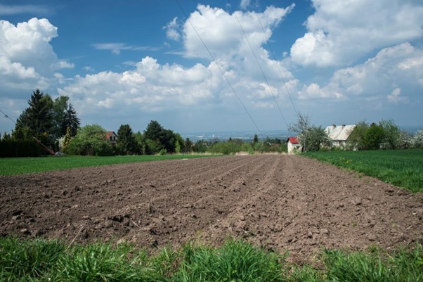 Najczęstsze błędy przy stosowaniu wapna granulowanego i jak ich unikać?