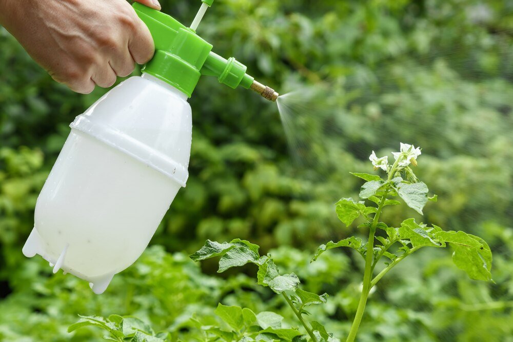 Naturalny środek na chwasty – skuteczne metody bez chemii