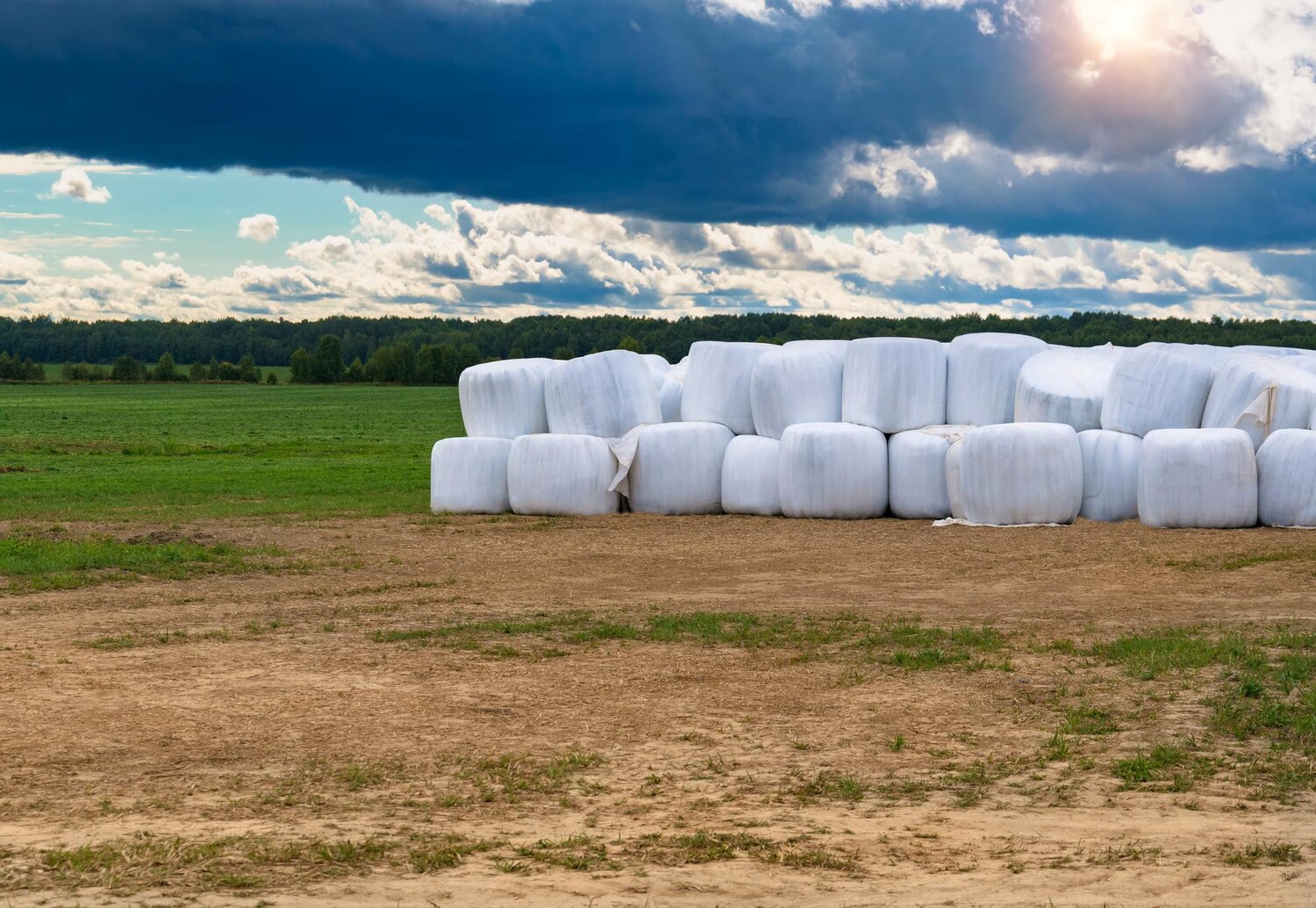 Kiedy warto zainwestować w big bagi rolnicze?