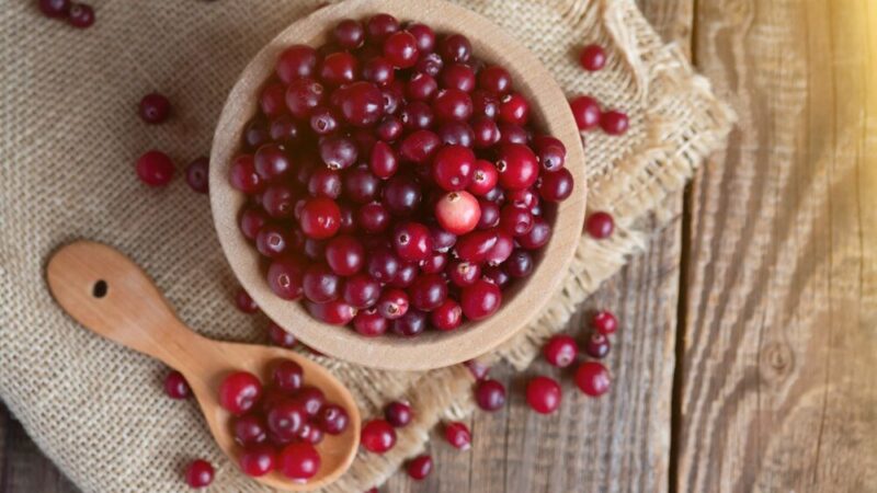 Żurawina – uprawa krok po kroku